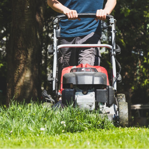 Lawn Care